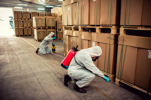 Best Termite Control Services  in Ridgeville, SC