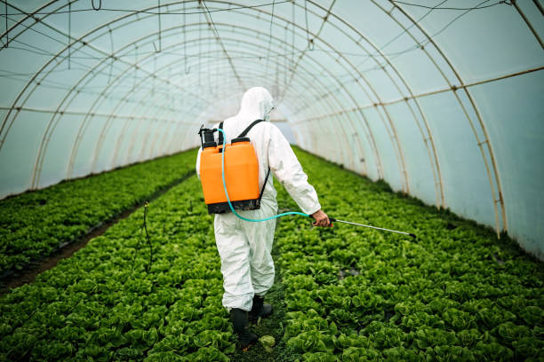 Best Pest Control Near Me in Ridgeville, SC