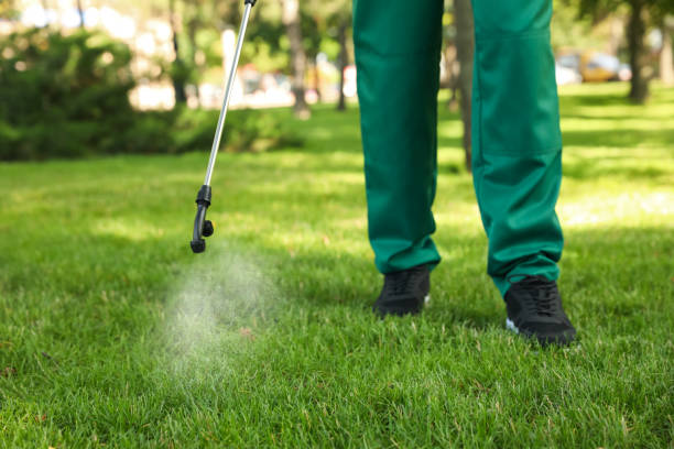 Flea Control Services in Ridgeville, SC