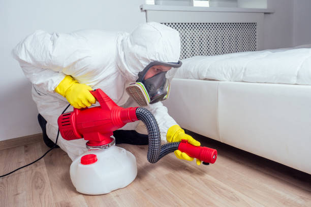 Best Flea Control Services  in Ridgeville, SC