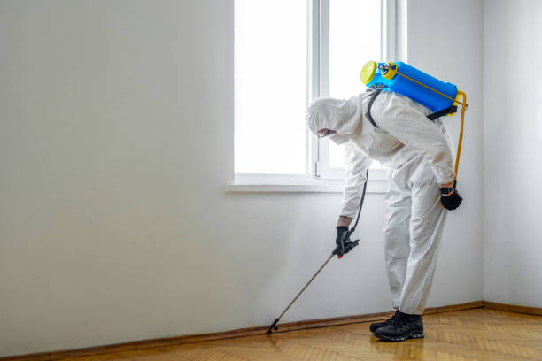 Professional Pest Control in Ridgeville, SC
