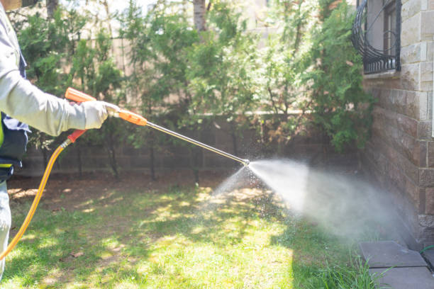 Best Best Pest Control Companies  in Ridgeville, SC