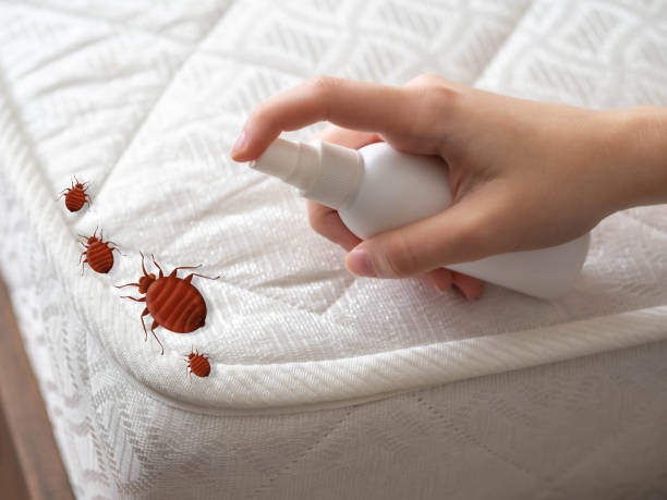 Best Mosquito Control Services  in Ridgeville, SC