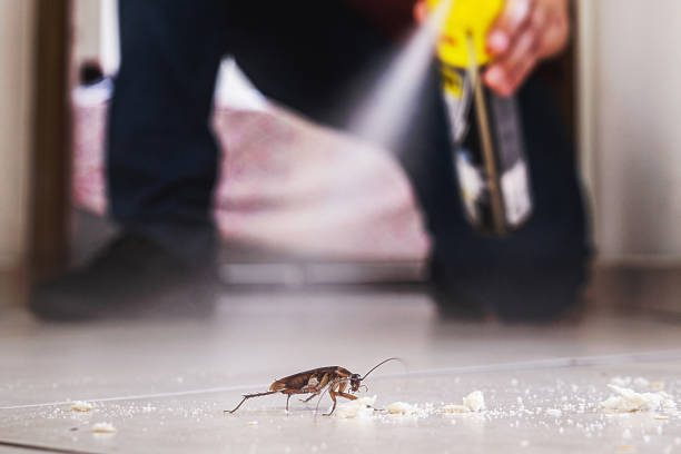 Best Exterminator Services  in Ridgeville, SC