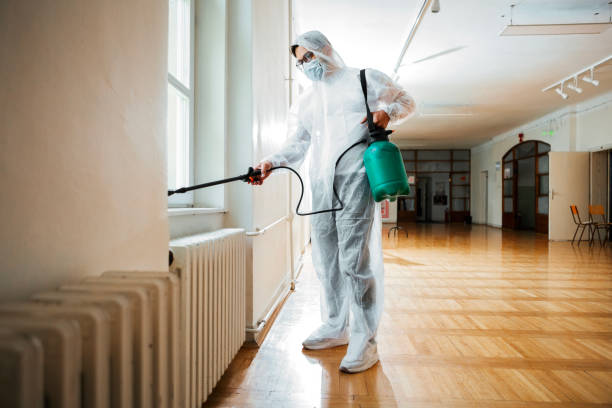 Best Wasp Removal Services  in Ridgeville, SC