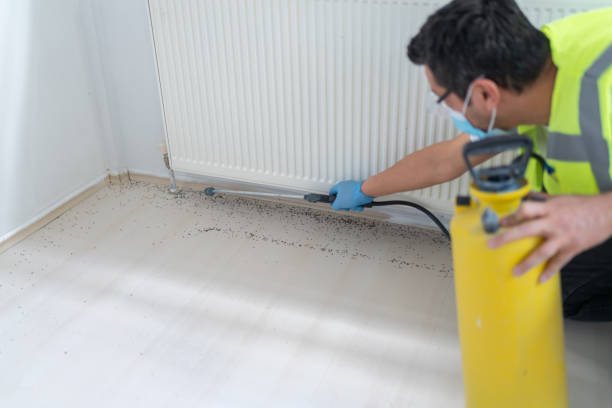 Best Residential Pest Control  in Ridgeville, SC