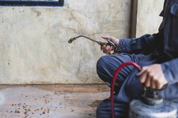 Best Pest Removal Services  in Ridgeville, SC